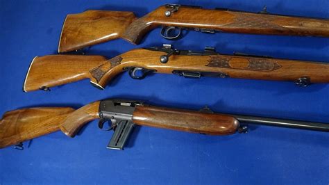 most accurate 22 wmr rifle.